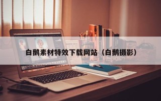 海宁白鹅素材特效下载网站（白鹅摄影）